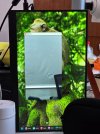 this is screen projection from a China livestream softwear,it can be windowed.jpg